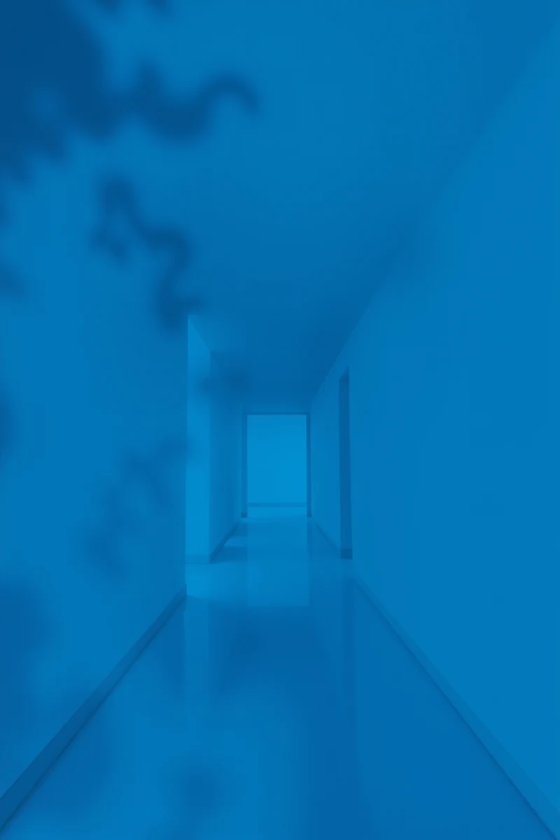 I have had this dream more than once — The Same Blue Room After Remembering The Past