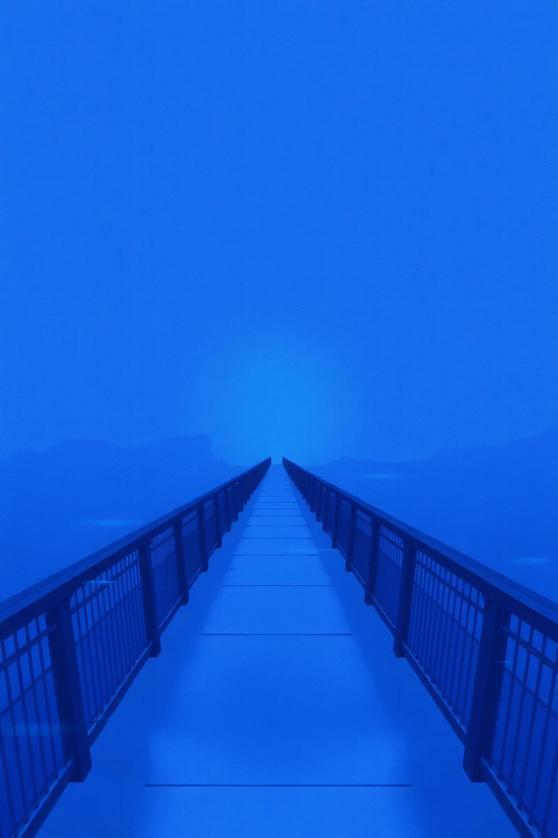 I have had this dream more than once — The Same Bridge After Arguments